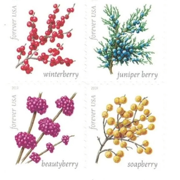 100 Winter Berries 2019 Forever Postage Stamps USPS Christmas Cards‎ Weddings - Picture 1 of 8